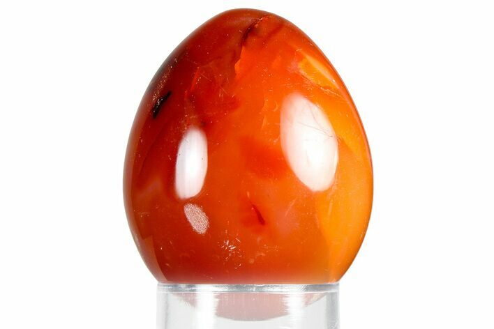 Vibrant Polished Carnelian Agate Egg - Madagascar #355515